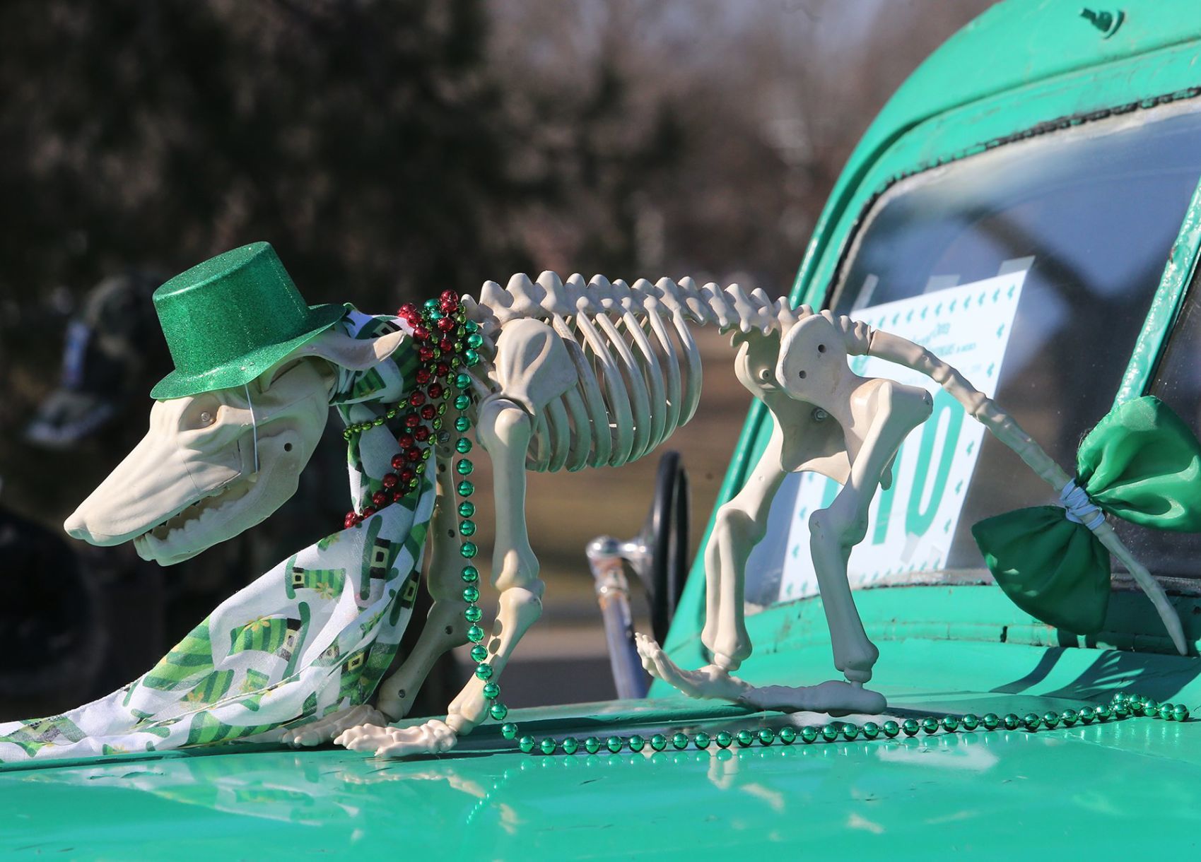 Dogtown draws thousands to St. Patrick's Day Parade